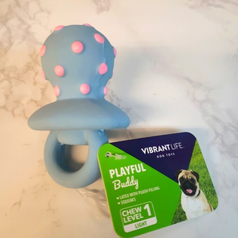 Vibrant Life Playful Buddy Squeaky Pacifier, Fetch Dog Toy